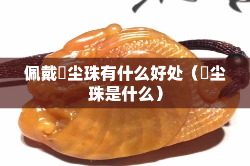 佩戴雮塵珠有什么好處(雮塵珠是什么) 佩戴雮塵珠有什么好處(雮塵珠是什么)