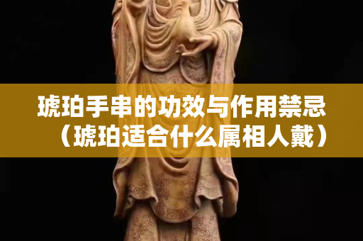 琥珀手串的功效與作用禁忌(琥珀適合什么屬相人戴) 琥珀手串的功效與作用禁忌(琥珀適合什么屬相人戴)