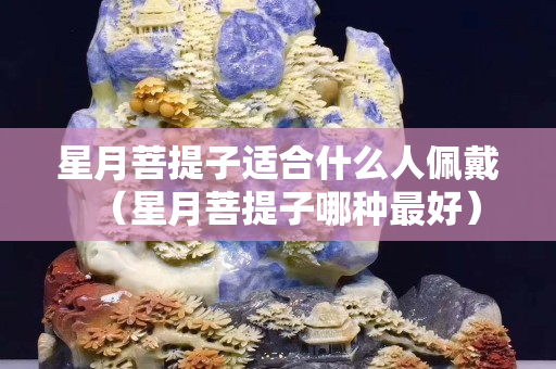 星月菩提子適合什么人佩戴（星月菩提子哪種最好）