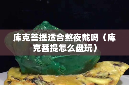 庫克菩提適合熬夜戴嗎（庫克菩提怎么盤玩）