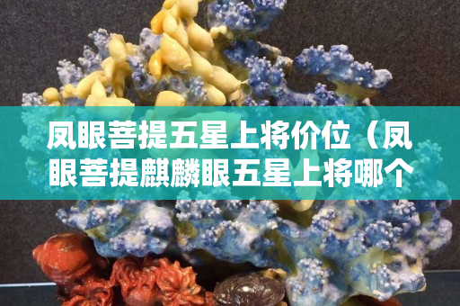 鳳眼菩提五星上將價位（鳳眼菩提麒麟眼五星上將哪個好）