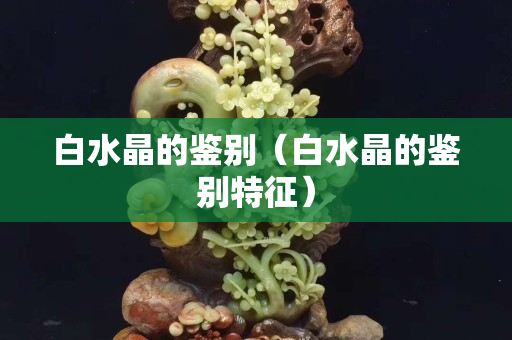 白水晶的鑒別(白水晶的鑒別特征) 白水晶的鑒別(白水晶的鑒別特征)