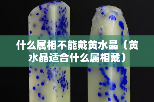什么屬相不能戴黃水晶（黃水晶適合什么屬相戴）