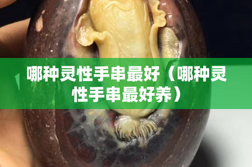 哪種靈性手串最好(哪種靈性手串最好養) 哪種靈性手串最好(哪種靈性手串最好養)