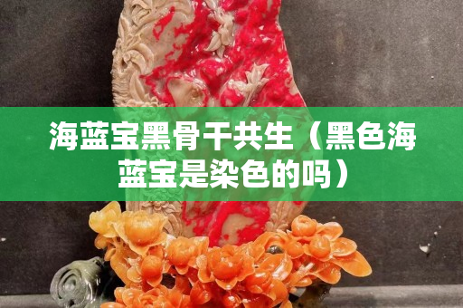 海藍寶黑骨干共生(黑色海藍寶是染色的嗎) 海藍寶黑骨干共生(黑色海藍寶是染色的嗎)