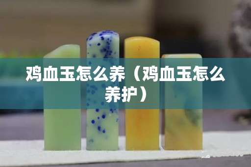 雞血玉怎么養(yǎng)（雞血玉怎么養(yǎng)護(hù)）