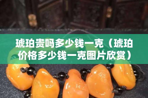 琥珀貴嗎多少錢一克（琥珀價格多少錢一克圖片欣賞）