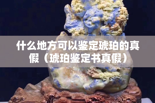 什么地方可以鑒定琥珀的真假（琥珀鑒定書真假）