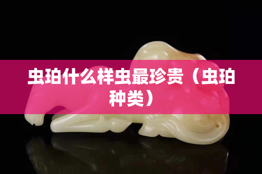 蟲珀什么樣蟲最珍貴（蟲珀種類）