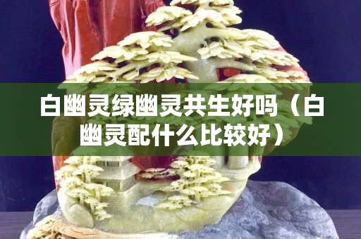 白幽靈綠幽靈共生好嗎(白幽靈配什么比較好) 白幽靈綠幽靈共生好嗎(白幽靈配什么比較好)