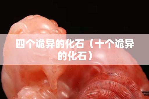 四個詭異的化石（十個詭異的化石）