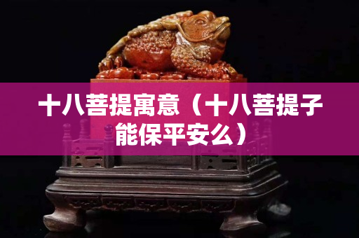 十八菩提寓意（十八菩提子能保平安么）