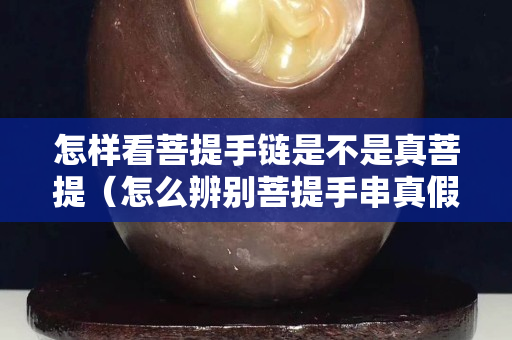 怎樣看菩提手鏈是不是真菩提（怎么辨別菩提手串真假）