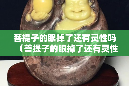 菩提子的眼掉了還有靈性嗎（菩提子的眼掉了還有靈性嗎視頻）