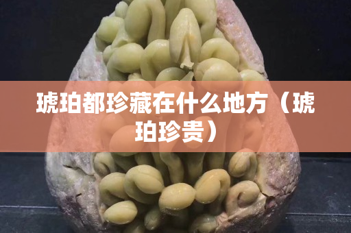 琥珀都珍藏在什么地方（琥珀珍貴）