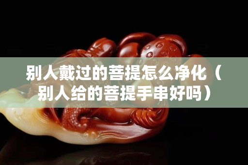 別人戴過的菩提怎么凈化(別人給的菩提手串好嗎) 別人戴過的菩提怎么凈化(別人給的菩提手串好嗎)