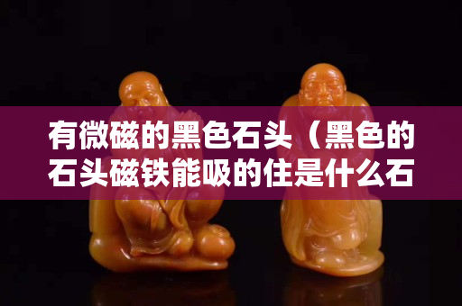 有微磁的黑色石頭（黑色的石頭磁鐵能吸的住是什么石頭）