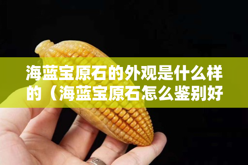 海藍寶原石的外觀是什么樣的(海藍寶原石怎么鑒別好壞) 海藍寶原石的外觀是什么樣的(海藍寶原石怎么鑒別好壞)