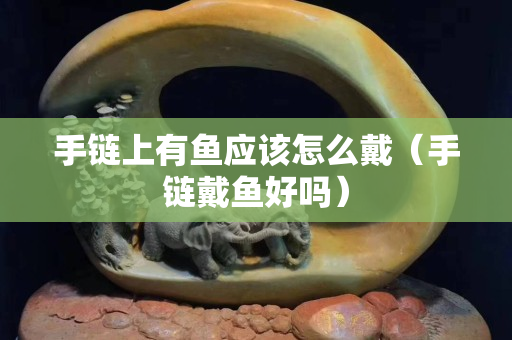 手鏈上有魚應該怎么戴（手鏈戴魚好嗎）