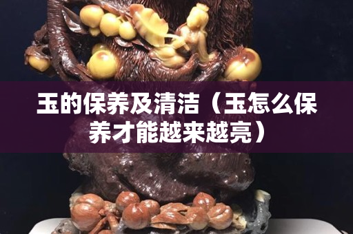 玉的保養及清潔（玉怎么保養才能越來越亮）