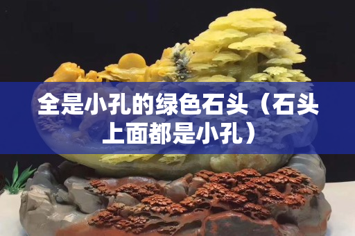 全是小孔的綠色石頭（石頭上面都是小孔）