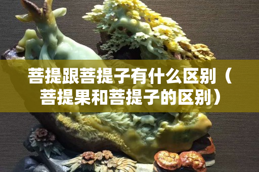 菩提跟菩提子有什么區別（菩提果和菩提子的區別）