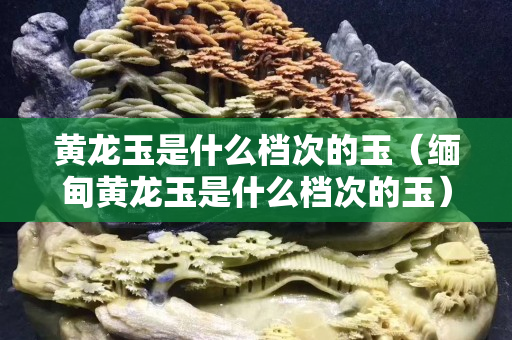 黃龍玉是什么檔次的玉（緬甸黃龍玉是什么檔次的玉）