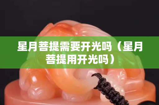 星月菩提需要開光嗎（星月菩提用開光嗎）