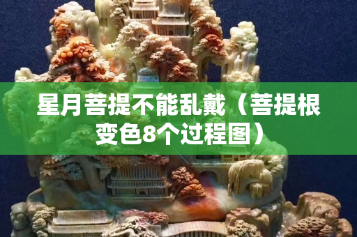 星月菩提不能亂戴（菩提根變色8個過程圖）