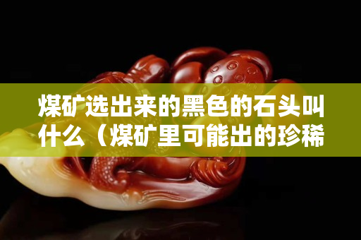 煤礦選出來的黑色的石頭叫什么（煤礦里可能出的珍稀石頭）