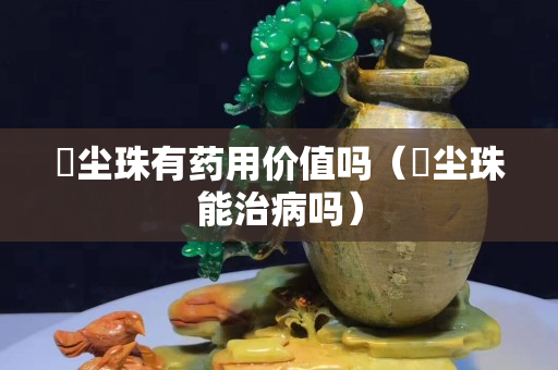 雮塵珠有藥用價(jià)值嗎（雮塵珠能治病嗎）