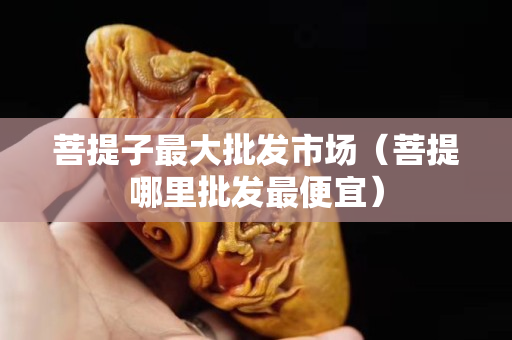 菩提子最大批發市場（菩提哪里批發最便宜）