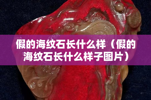 假的海紋石長什么樣（假的海紋石長什么樣子圖片）