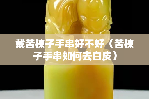 戴苦楝子手串好不好（苦楝子手串如何去白皮）