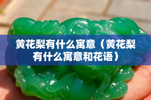 黃花梨有什么寓意(黃花梨有什么寓意和花語) 黃花梨有什么寓意(黃花梨有什么寓意和花語)