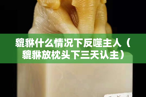 貔貅什么情況下反噬主人（貔貅放枕頭下三天認主）