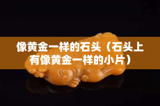 像黃金一樣的石頭(石頭上有像黃金一樣的小片) 像黃金一樣的石頭(石頭上有像黃金一樣的小片)