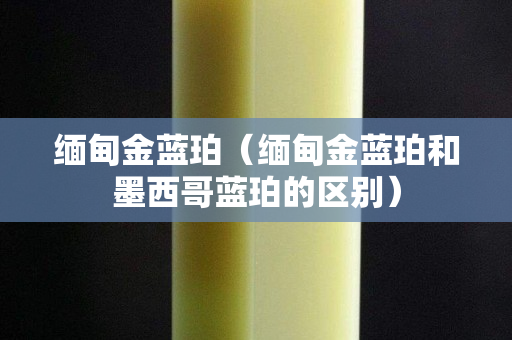 緬甸金藍(lán)珀（緬甸金藍(lán)珀和墨西哥藍(lán)珀的區(qū)別）