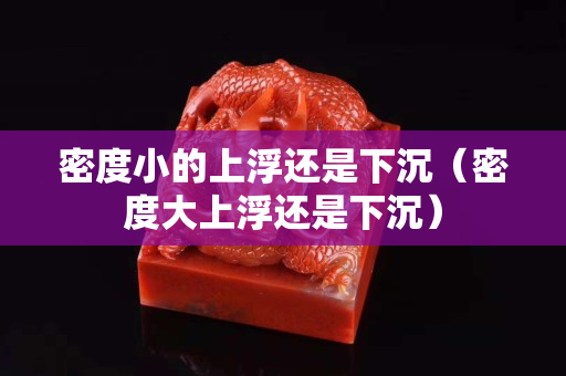 密度小的上浮還是下沉（密度大上浮還是下沉）