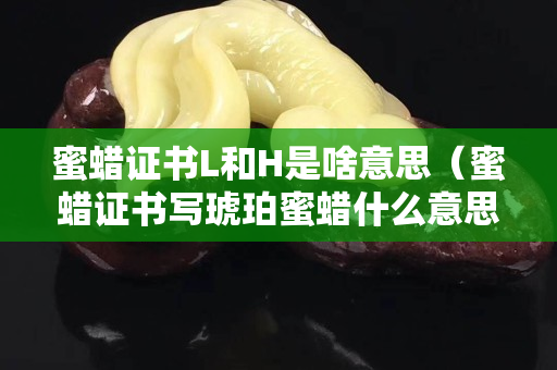 蜜蠟證書L和H是啥意思（蜜蠟證書寫琥珀蜜蠟什么意思）