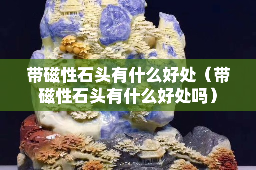 帶磁性石頭有什么好處（帶磁性石頭有什么好處嗎）