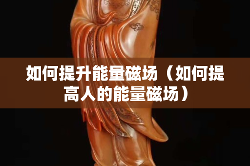 如何提升能量磁場（如何提高人的能量磁場）