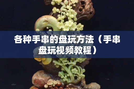 各種手串的盤玩方法(手串盤玩視頻教程) 各種手串的盤玩方法(手串盤玩視頻教程)