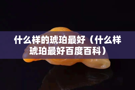 什么樣的琥珀最好（什么樣琥珀最好百度百科）