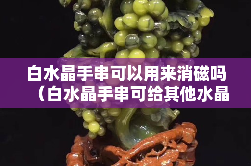 白水晶手串可以用來消磁嗎（白水晶手串可給其他水晶消磁凈化）