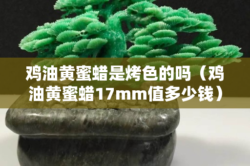 雞油黃蜜蠟是烤色的嗎（雞油黃蜜蠟17mm值多少錢）