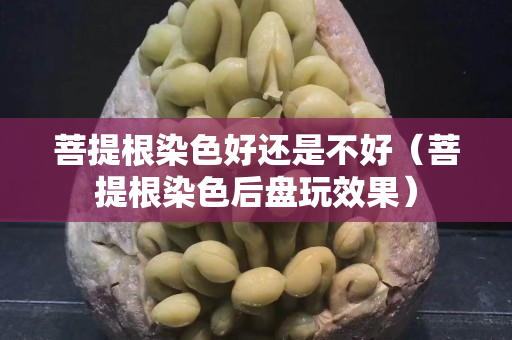 菩提根染色好還是不好（菩提根染色后盤玩效果）