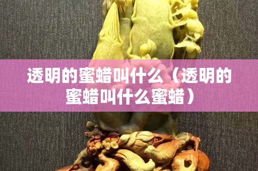 透明的蜜蠟叫什么（透明的蜜蠟叫什么蜜蠟）