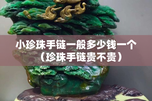 小珍珠手鏈一般多少錢一個(gè)（珍珠手鏈貴不貴）