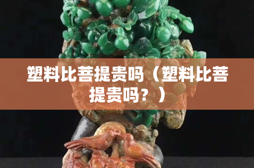 塑料比菩提貴嗎（塑料比菩提貴嗎？）